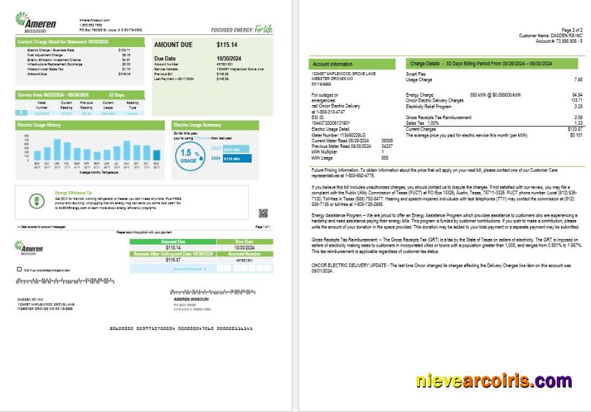 USA Ameren Missouri electricity business utility bill (2 pages)